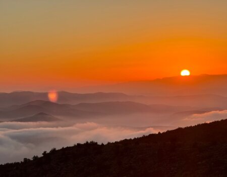 wta_2280_bcd7a727-13ed-4057-bc5d-8ced9ed395dd