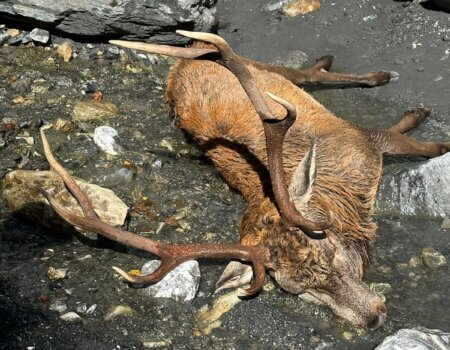 wta_2281_WhatsApp Image 2023-10-19 at 22.24.14