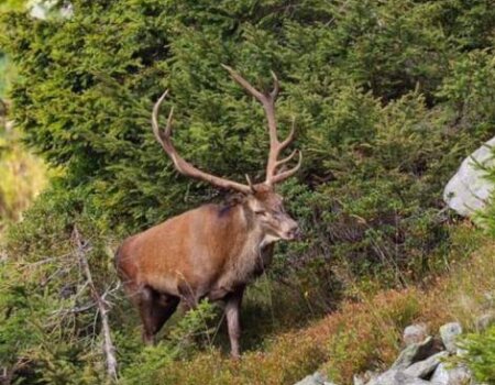 wta_2281_WhatsApp Image 2023-10-19 at 22.24.35