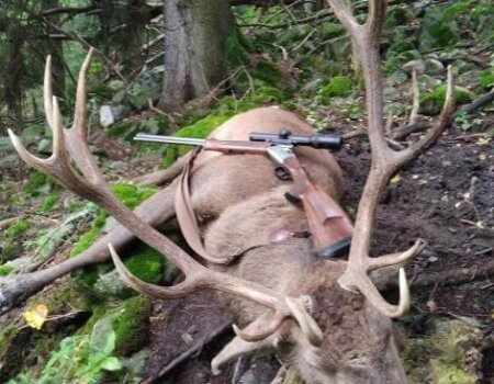 wta_2281_WhatsApp Image 2023-10-19 at 22.24.49