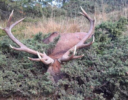 wta_2281_WhatsApp Image 2023-10-19 at 22.25.03