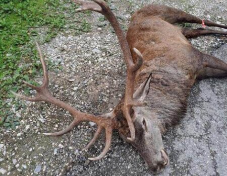 wta_2281_WhatsApp Image 2023-10-19 at 22.25.16