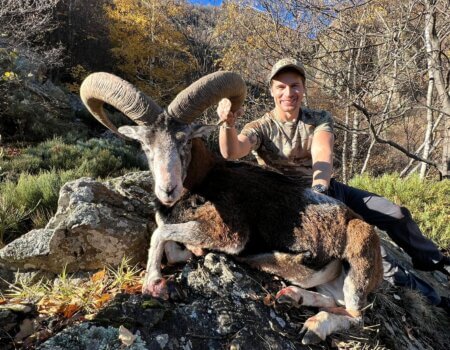 wta_2282_1a311ecd-e166-4ab9-9105-4a4ff8165dc8