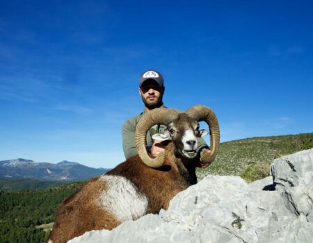 wta_2282_CHASSE-SAFARI-JF-HUNTING-BOWHUNTING-MOUFLON-FRANCE-2-scaled