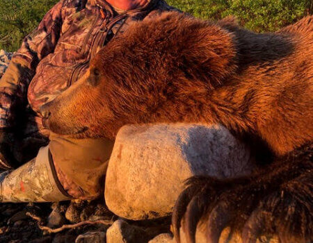 wta_2285_wta_1990_bear2