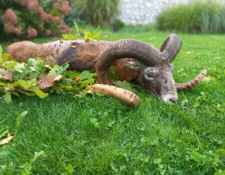 wta_2290_1e0ecf6a-85df-4860-9f6e-b054f2f52235