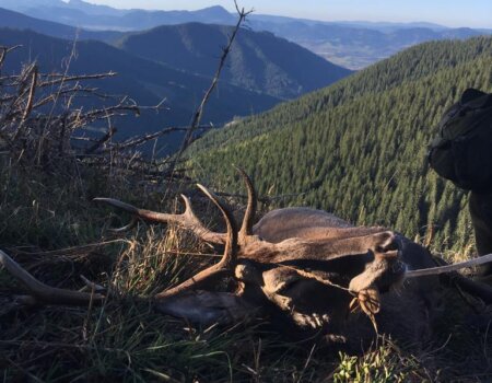 wta_2291_99a891b8-1b52-44eb-ab59-c63584240cfb