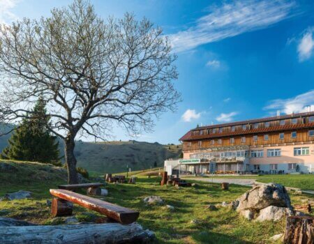 wta_2291_WhatsApp Image 2023-05-04 at 23.13.08