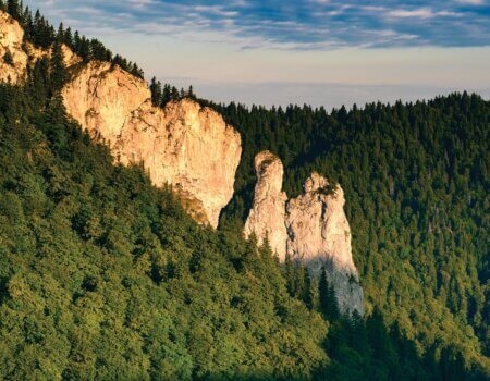 wta_2291_camel-1-of-1_1