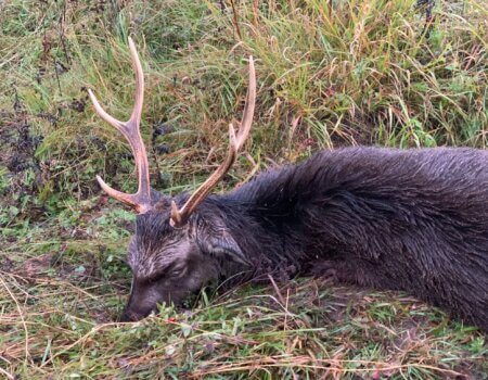 wta_2292_7552cb57-e697-42b5-ae40-fa6df582839c