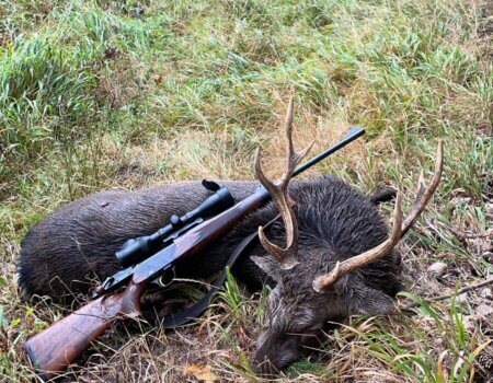 wta_2292_89c54842-156f-47ca-906b-ab02d4705720 (1)