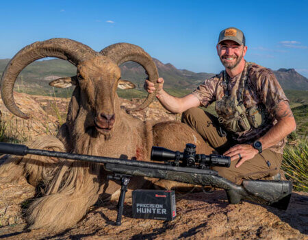 wta_2293_Aoudad 1