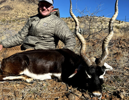 wta_2294_black buck 2