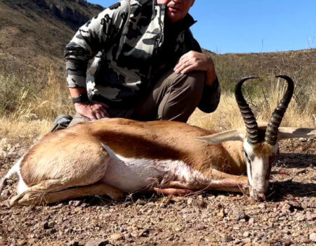 wta_2295_Springbuck
