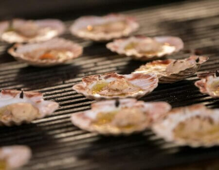 wta_2299_1bf6669c-3e82-486e-94a8-ff0fe307f7bd