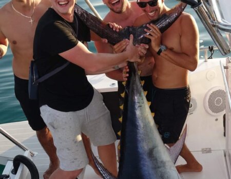 wta_2299_584d2e62-a6cf-4b64-9d45-0a89a0c0cd0b