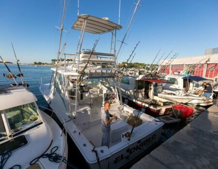 wta_2299_652f09ed-ea8b-40a8-a957-d3fd2ac691a7