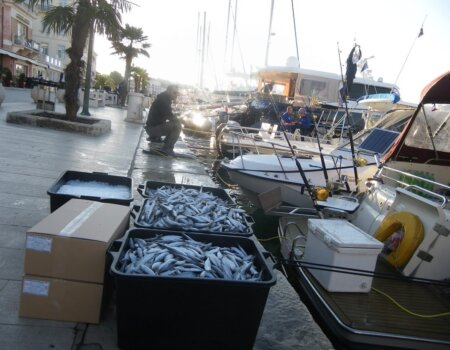 wta_2299_8dcdeb94-7bcd-44c5-bfce-37a9262939f2