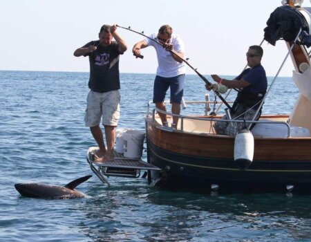 wta_2299_b3555ffb-454b-4fb5-9cdc-e5dc2aadbf6c