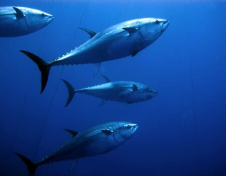 wta_2299_be5c5bc2-f2c3-45fd-8c43-74594abb2758