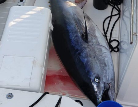 wta_2299_cfb8ed29-8ced-40fe-ac46-81efe0536290