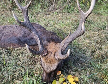 wta_2595_1d110a9a-c69f-41bd-bcef-ddf2c994c17f