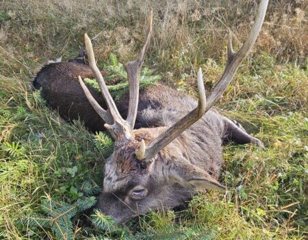 wta_2595_1d4c906a-e70f-4b5d-ac95-1d990bfaf002