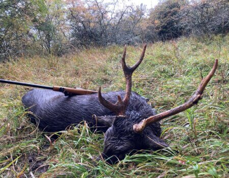 wta_2595_54bee5cd-dc9e-46df-a6b0-43f1757e26d7