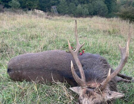 wta_2595_62382e38-99d4-4340-b0b2-d56b176ee816