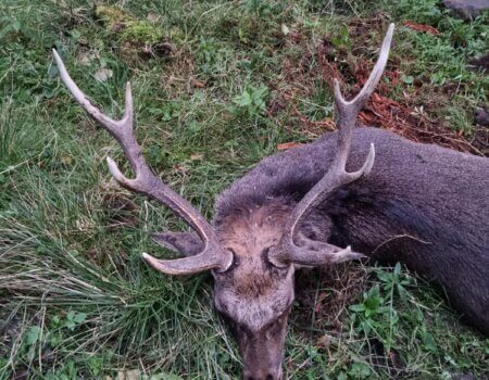 wta_2595_77cd53c0-9688-4fa4-85d7-800b7cd71bf6