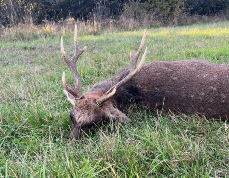 wta_2595_9eb77c12-7247-4b57-b85a-767b61b0f8a0