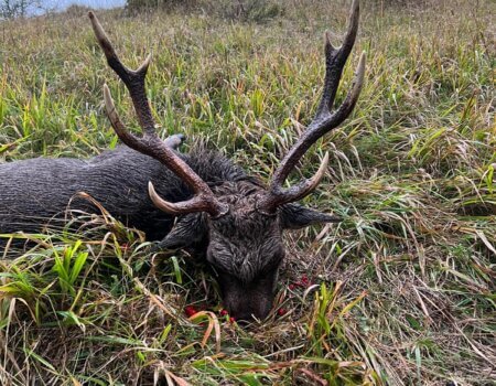 wta_2595_9fd82dcd-808c-40f8-9285-4ae17a25a098