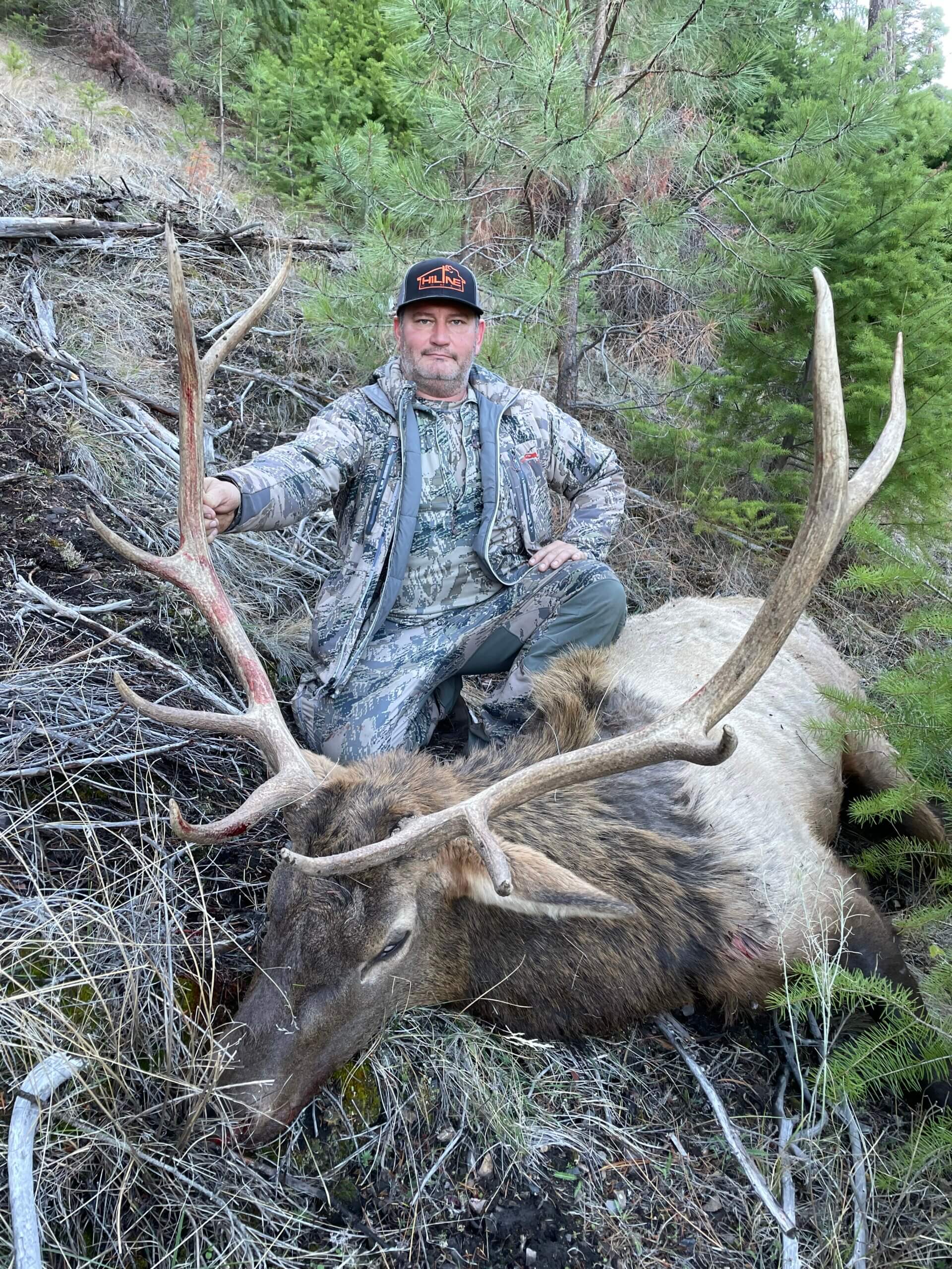 Elk Hunts Available – Don’t Sit the 2023 Season Out - Worldwide Trophy ...