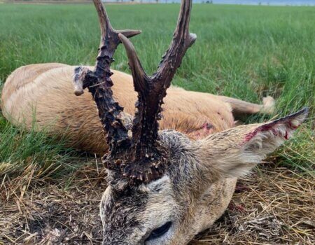 wta_2303_WhatsApp Image 2022-07-06 at 10.44.44 AM (4)