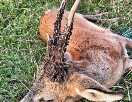 wta_2303_WhatsApp Image 2022-07-06 at 10.44.44 AM (6)