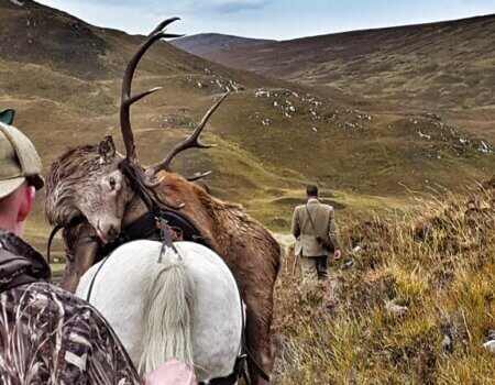 wta_2303_WhatsApp Image 2022-07-06 at 10.45.34 AM (2)