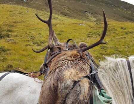 wta_2303_WhatsApp Image 2022-07-06 at 10.45.34 AM (3)