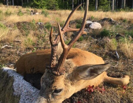 wta_2303_WhatsApp Image 2023-03-15 at 11.17.13 (2)