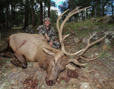 wta_2304_Borderland Elk archery