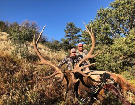 wta_2304_High mountain elk New mexico1