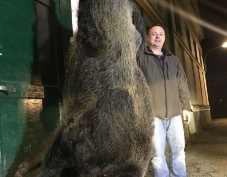 wta_2305_cd6452f9-df9b-4014-b550-9c90af0f5d2d