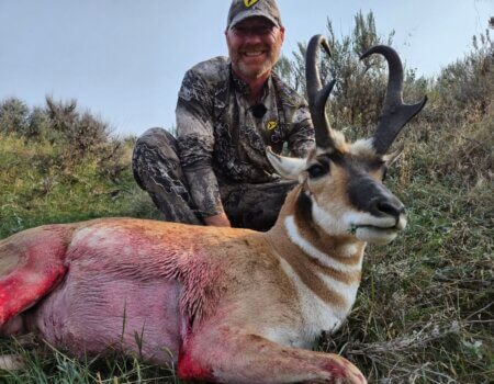 wta_2313_image000000