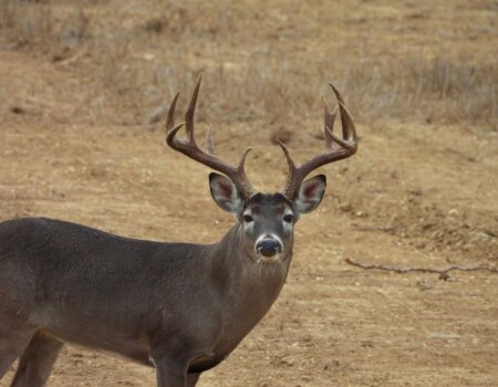 wta_2319_PHOTO-2026-01-13-14-18-39