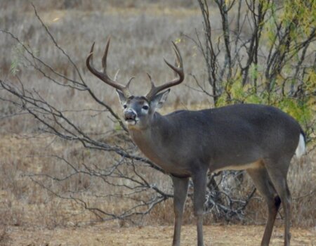 wta_2319_PHOTO-2026-01-13-14-19-20