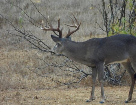 wta_2319_PHOTO-2026-01-13-14-21-01