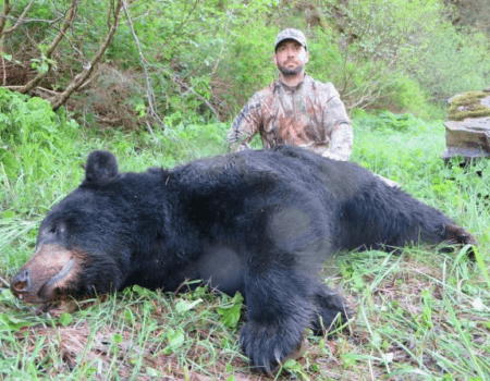 wta_2321_Screenshot 2023-07-28 at 2.55.34 PM