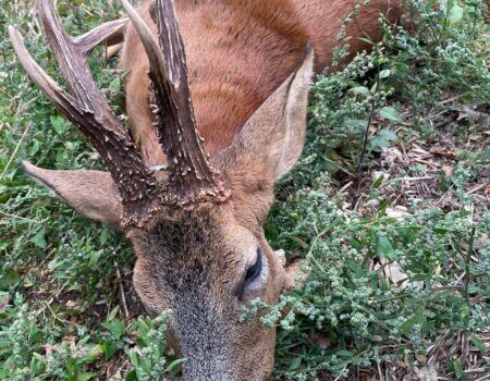 wta_2322_09a36db6-d0db-471c-8a73-372f3d0ac1c8