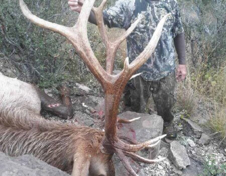 wta_2324_Attachment-19