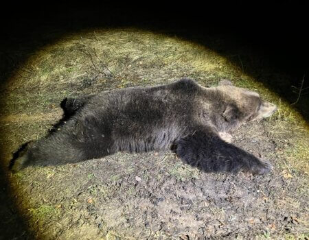 wta_2325_4007fe41-f5a2-4621-bd1a-4ed8ea44d9dc