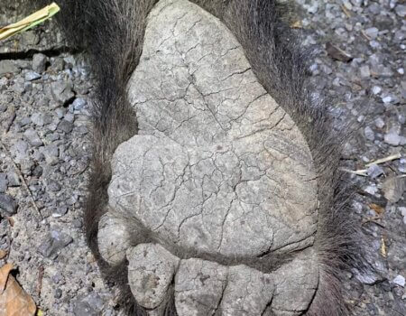 wta_2325_WhatsApp Image 2022-12-17 at 10.53.11 (1)